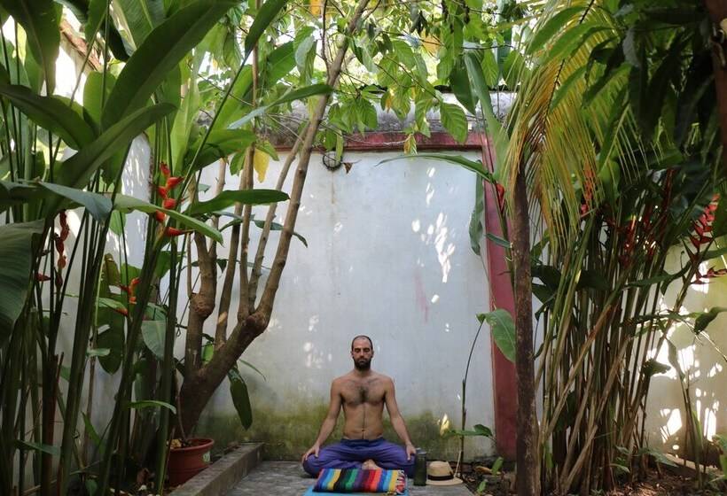 The Amazon Within Hostel