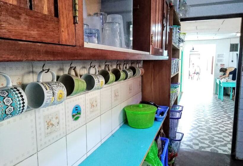 The Amazon Within Hostel