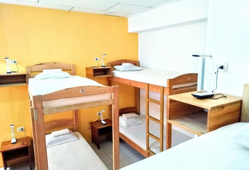 The Amazon Within Hostel