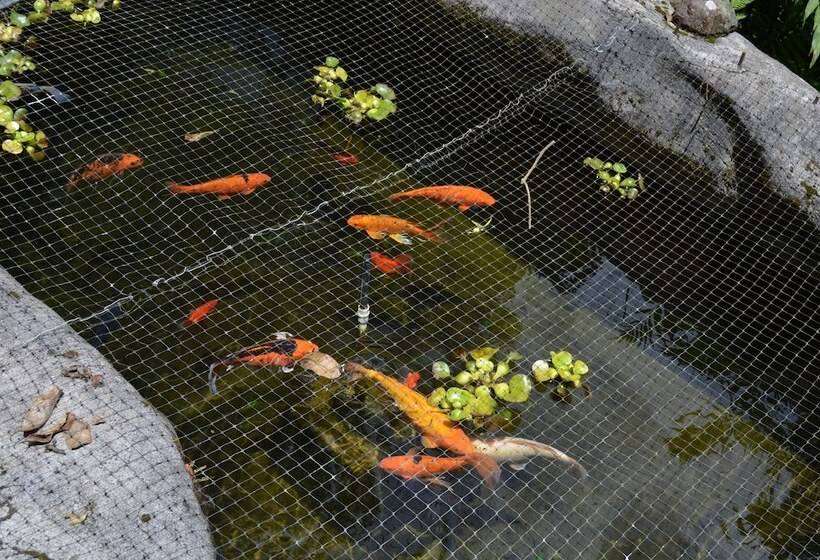 مبيت وإفطار Finca Paraiso Mountain Retreat