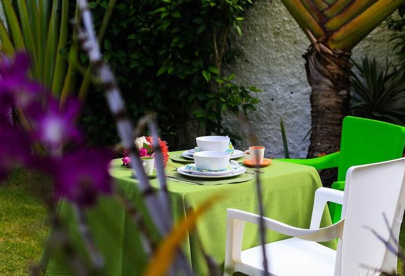 צימר Villa Rosa Dominicus