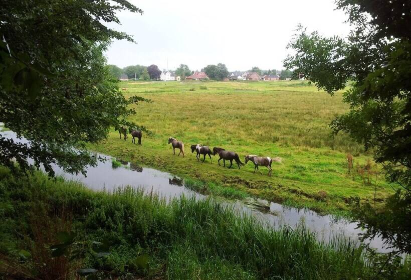 Gørdinglund Herregård Bed & Breakfast