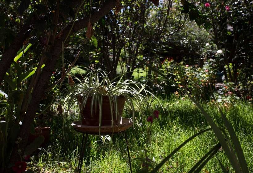 Hospedaje Los Jazmines Hostel