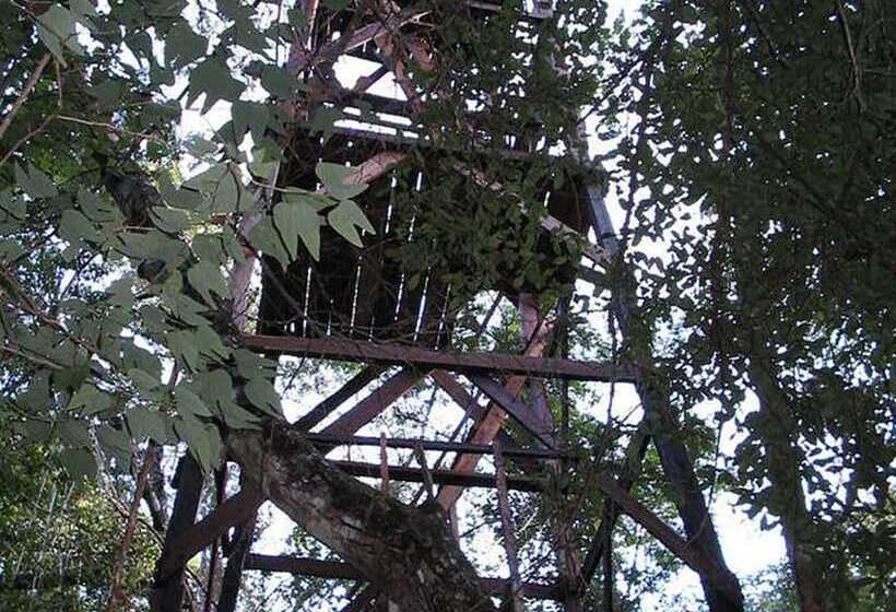 호텔 Campamento Yaaxche En Calakmul