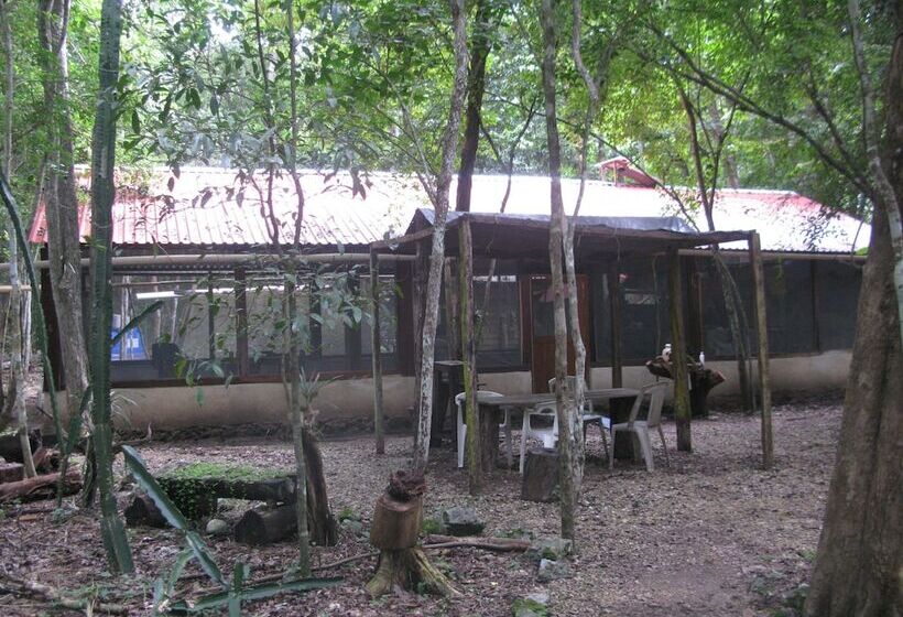 호텔 Campamento Yaaxche En Calakmul