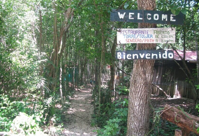 호텔 Campamento Yaaxche En Calakmul