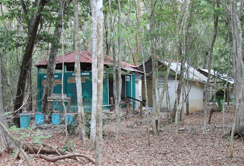 호텔 Campamento Yaaxche En Calakmul