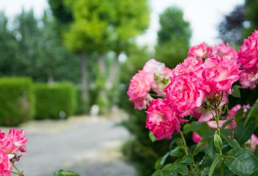 ホテル Camping De L Abbatiale