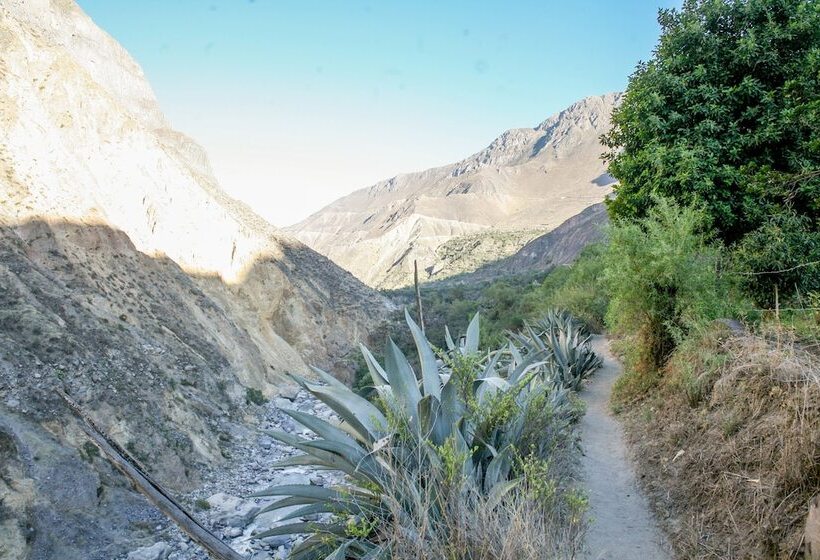 בית מלון כפרי Colibri Lodge