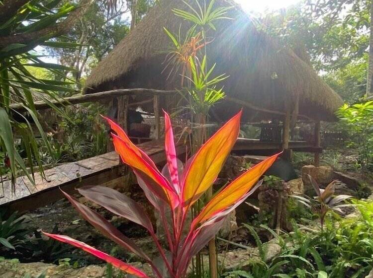 فندق Corazón De Selva