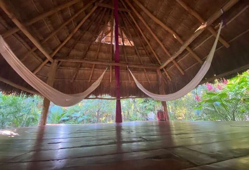 فندق Corazón De Selva