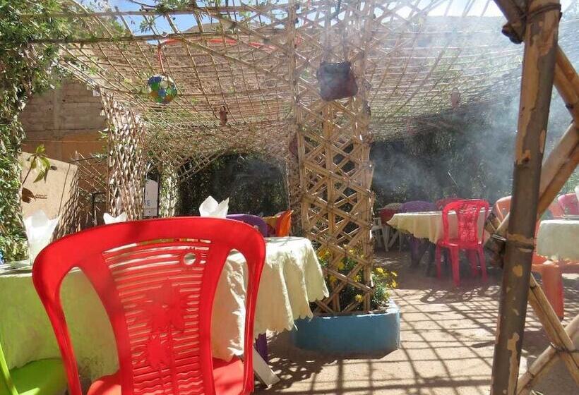 酒店 Dar Le Lion Dades