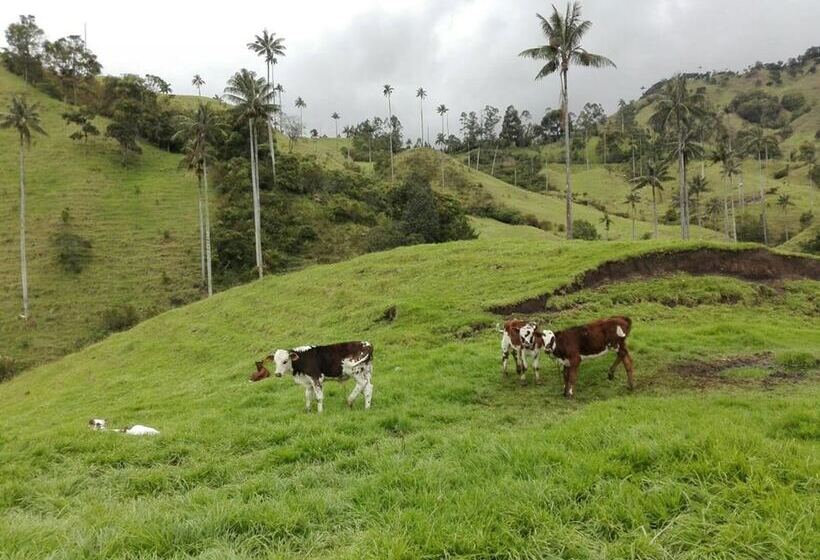 فندق Ecohostal Villa Hidalgo