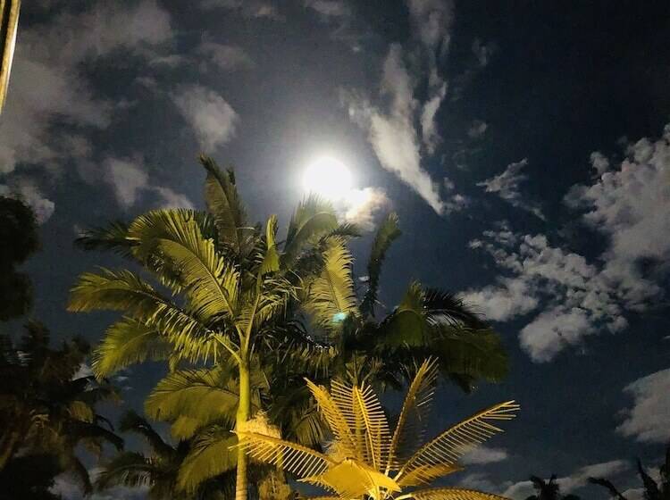 酒店 Entre Los Arboles