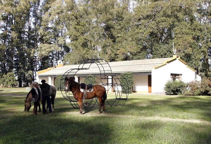 فندق Estancia Argentina La Armonia