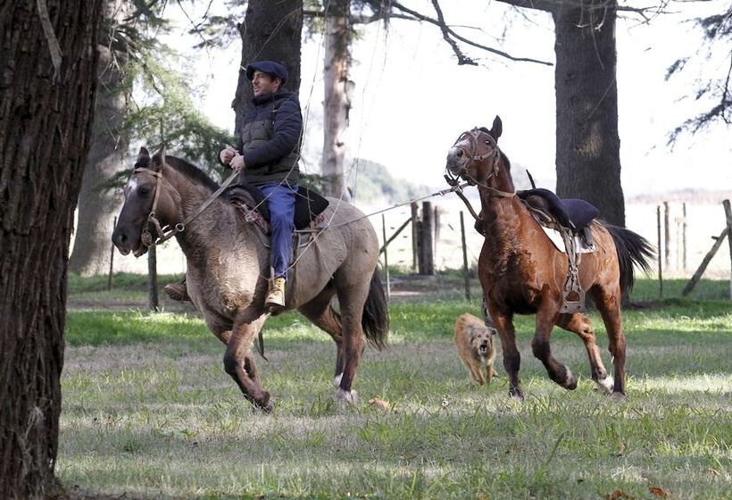 فندق Estancia Argentina La Armonia
