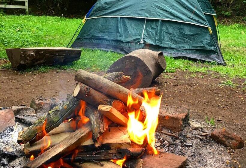 فندق Estancia De La Campiña