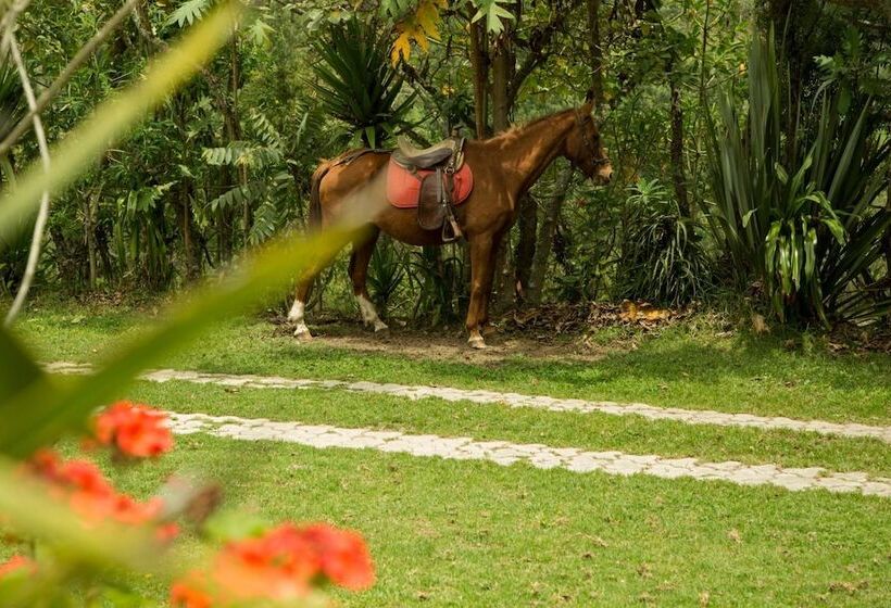 فندق Estancia De La Campiña