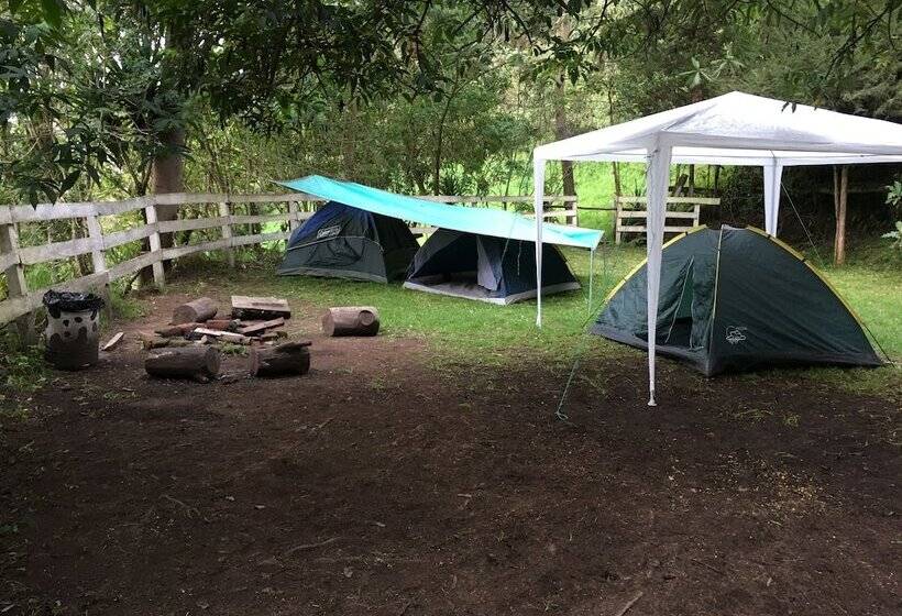 فندق Estancia De La Campiña