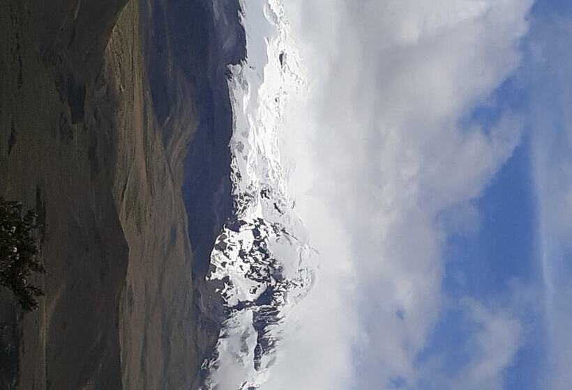 فندق Ficus Lodge