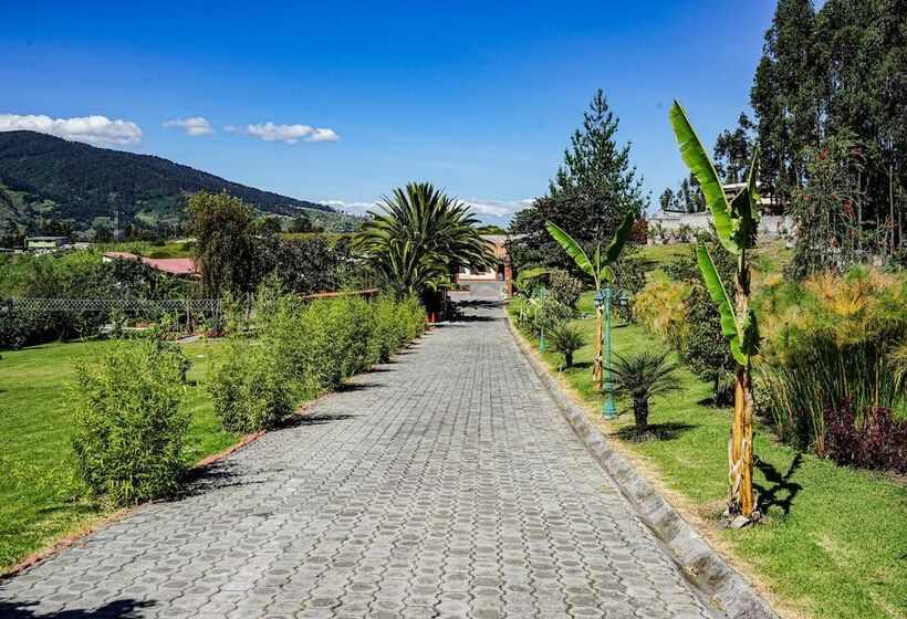 فندق Ficus Lodge