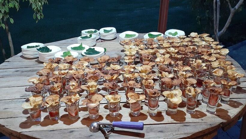 فندق Ficus Lodge