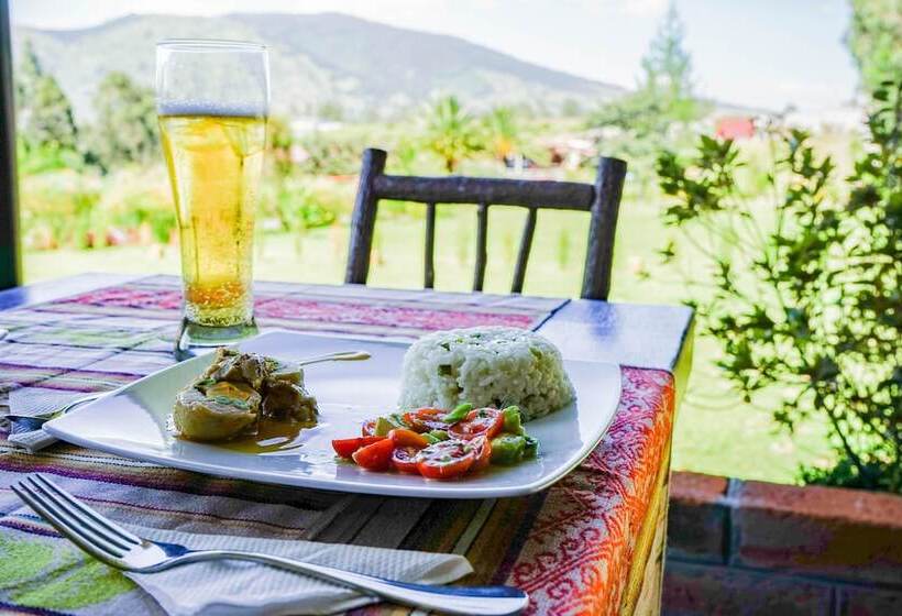 فندق Ficus Lodge