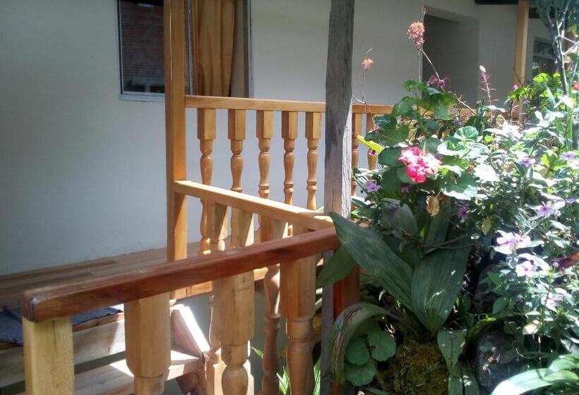 ホテル Healthy Stay Gocta