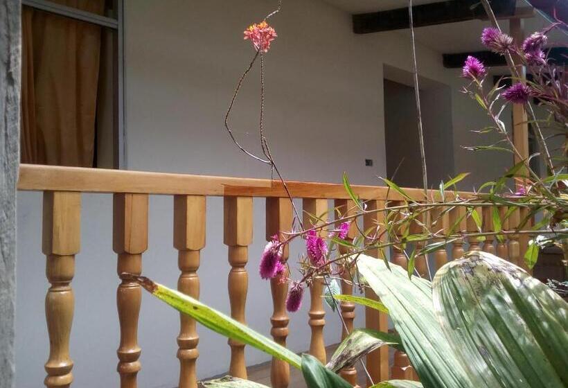 ホテル Healthy Stay Gocta