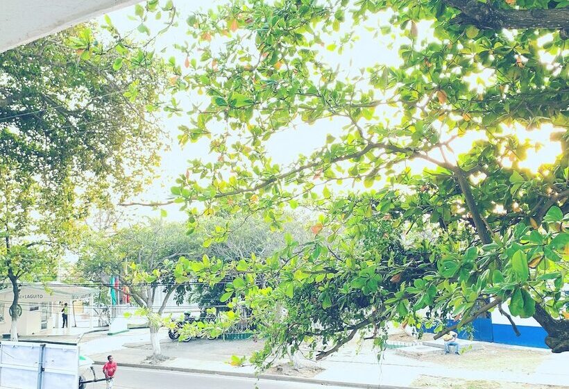 בית מלון כפרי Hospedaje Belmar