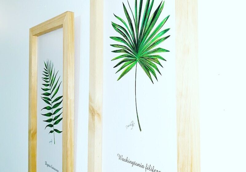 בית מלון כפרי Hospedaje Belmar