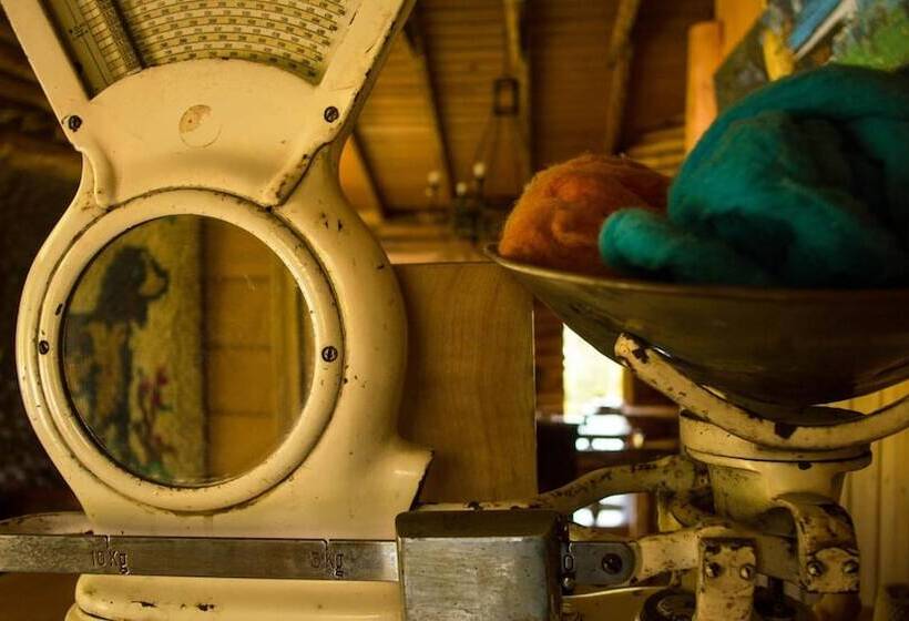 בית מלון כפרי Hostal Casa Bosque