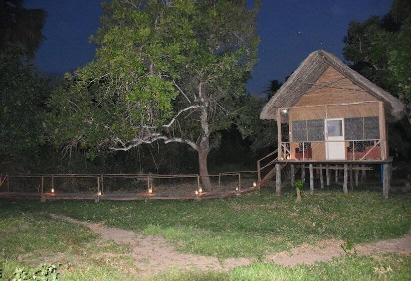 فندق Kituri Selous Camps