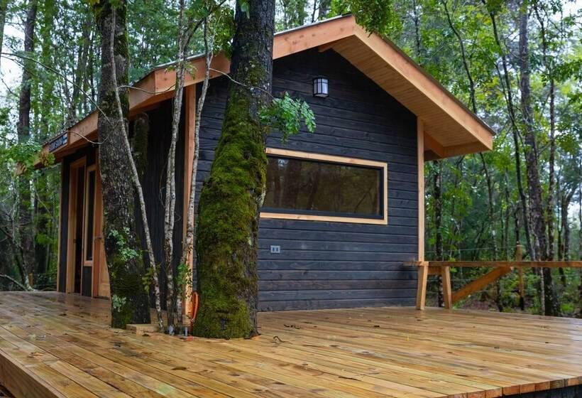 酒店 La Escondida Pucón