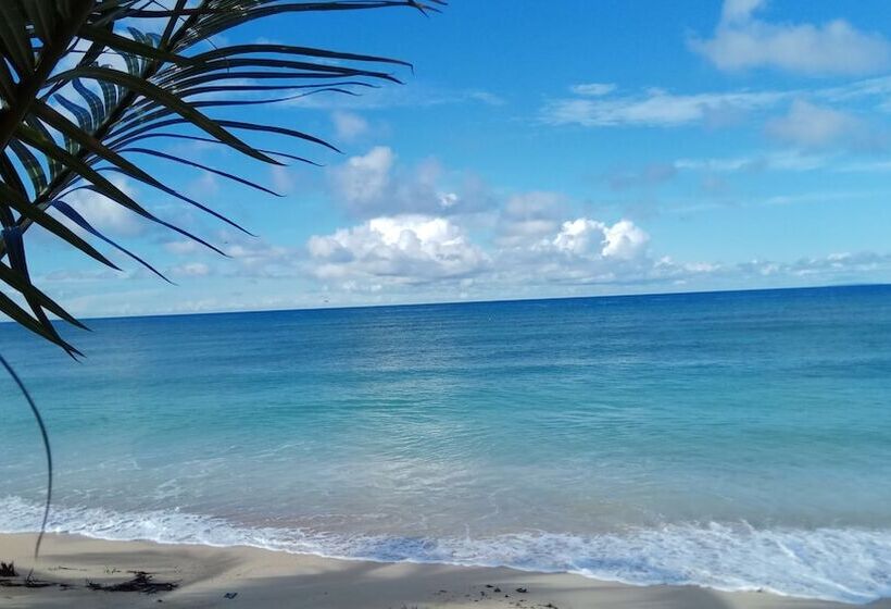 Hotel Nipa Hauz Resort