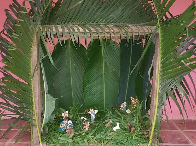 Отель Paraíso Escondido