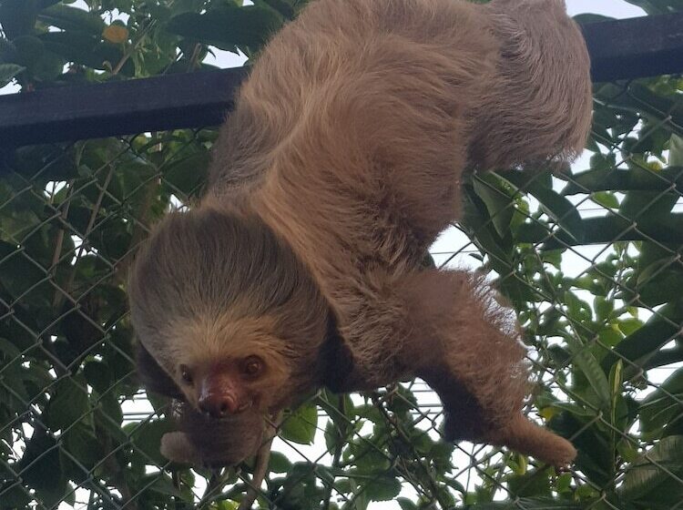 Отель Paraíso Escondido