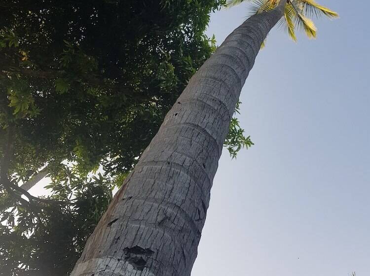 Отель Paraíso Escondido