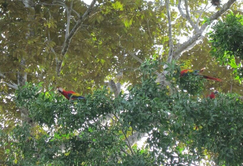 Отель Paraíso Escondido