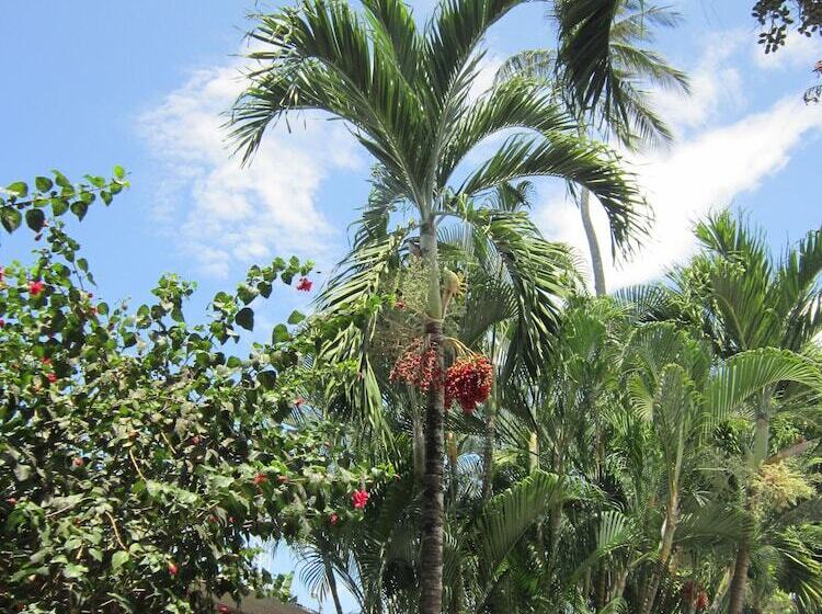 Отель Paraíso Escondido