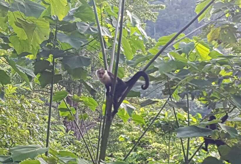 Отель Paraíso Escondido