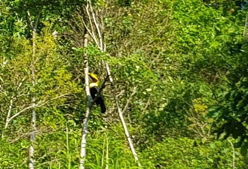 Отель Paraíso Escondido