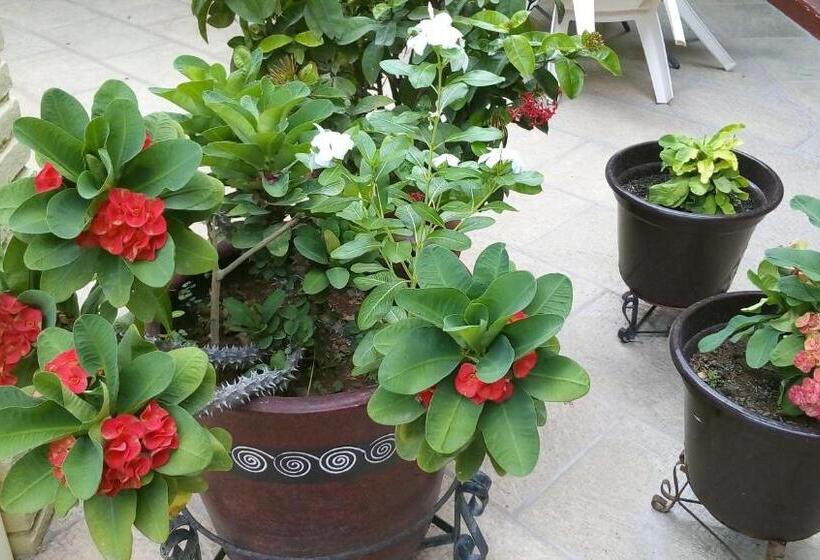 호텔 Posada Del Rey