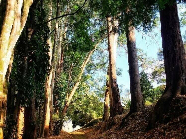 ホテル Pueblito Cafetero