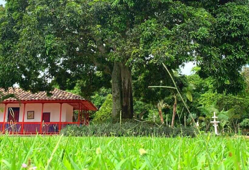 ホテル Pueblito Cafetero