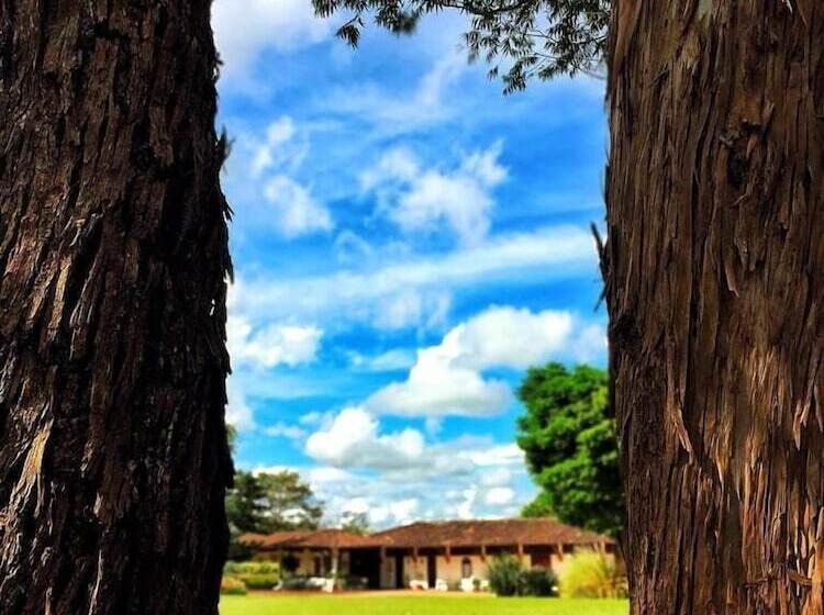 هتل Pueblito Cafetero