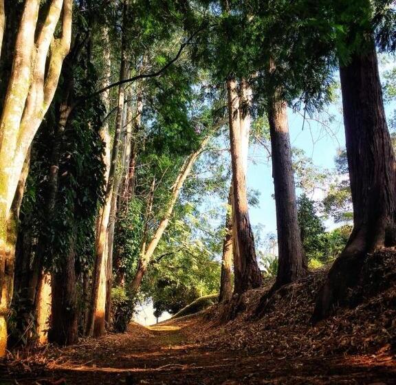 هتل Pueblito Cafetero