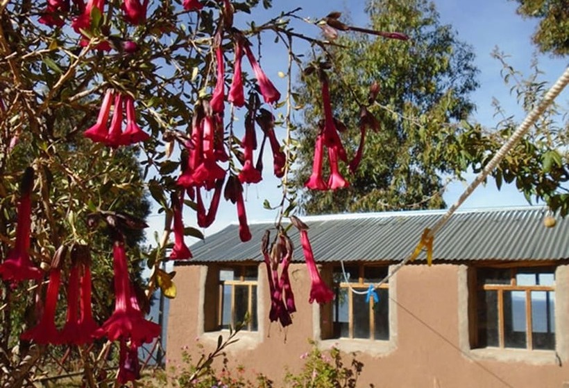 Отель Quillapata Lodge