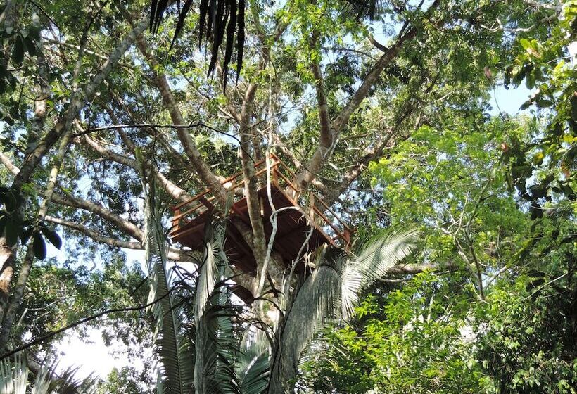 هتل روستایی Hacienda Herrera Tambopata