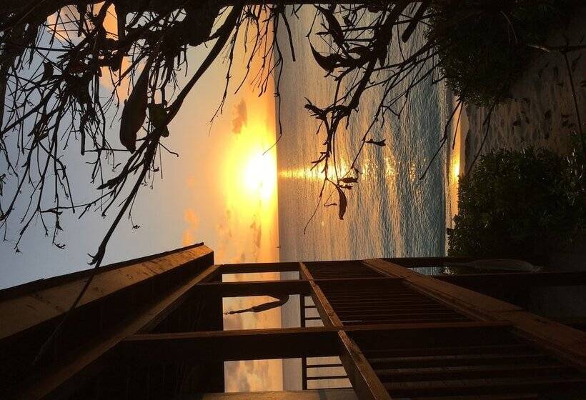 Отель The Sands